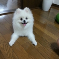 リックを幸せにしてあげてください