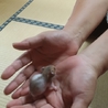 全て無事に決まりました＾＾ありがとうございました サムネイル3