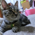 元気で人なつこい大ちゃんです！