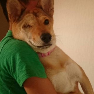 片目のメルモです