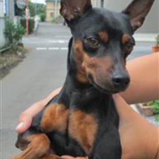 お返事完了まで一時募集を停止します