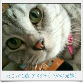 緊急なんです