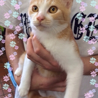 個性派の甘えん坊さん♪