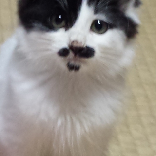 決まりました。ありがとうございました。