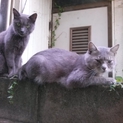 仲のいい兄妹です♪