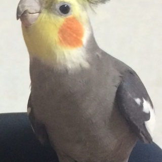 たくさんの応募ありがとうございました！