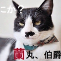 性格花丸！愛嬌たっぷ～りの蘭丸！