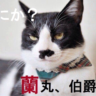 性格花丸！愛嬌たっぷ～りの蘭丸！