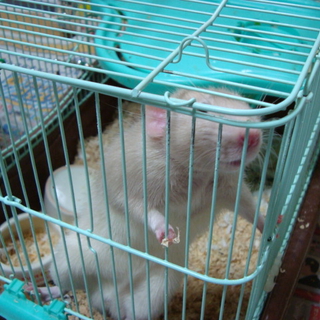 一時停止してます。