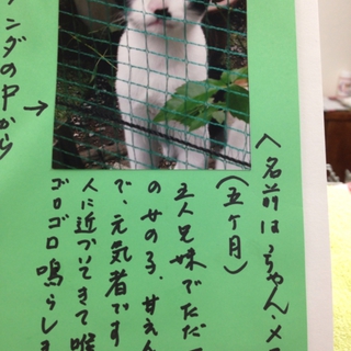 白黒♀ハートちゃん