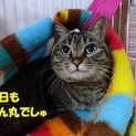 怖がりのミクちゃん