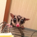 沢山のご応募ありがとうございました