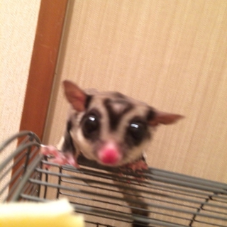 沢山のご応募ありがとうございました