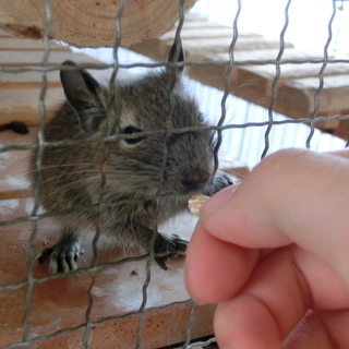 ありがとうございました！