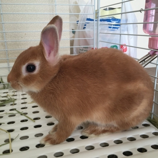早速ご応募いただきありがとうございました。
