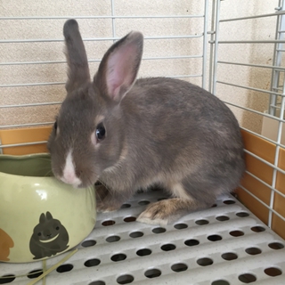 沢山ご応募頂きありがとうございました。