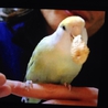一時、募集停止させていただきます サムネイル3