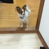 里親さん決まりました。 サムネイル3