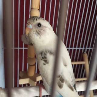 ご応募ありがとうございました！