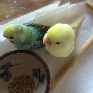 沢山のご応募ありがとうございました！