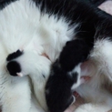 赤ちゃんを産みました