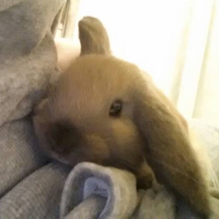 お願いします(__)