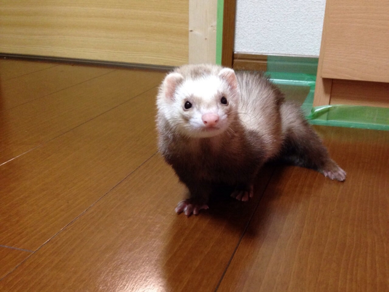 たくさんのご応募ありがとうございました！ サムネイル3