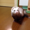 たくさんのご応募ありがとうございました！ サムネイル3