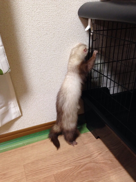 たくさんのご応募ありがとうございました！ サムネイル5