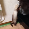 たくさんのご応募ありがとうございました！ サムネイル5