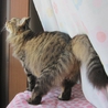 福島っ子ふじこ サムネイル1