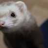 たくさんのご応募ありがとうございました！ サムネイル2
