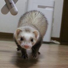 たくさんのご応募ありがとうございました！ サムネイル6