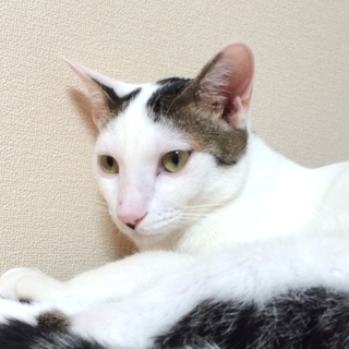 7カ月の可愛い盛り！！
