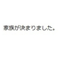 少しびびりですが、人懐っこい黒柴です