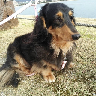 ☆優しいご家族に迎えていただきました☆