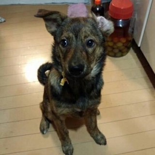 決まりました♪