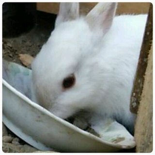 ありがとうございました
