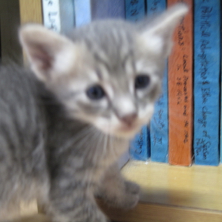 愛したい系代表!!　優しい方まってます♪