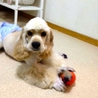 募集終了 サムネイル2