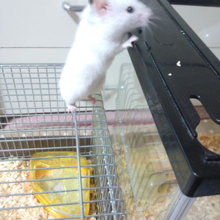 優しい里親家族様に出会えました♪