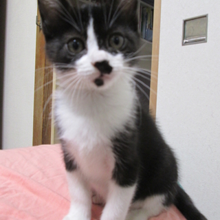 家族にしてください。