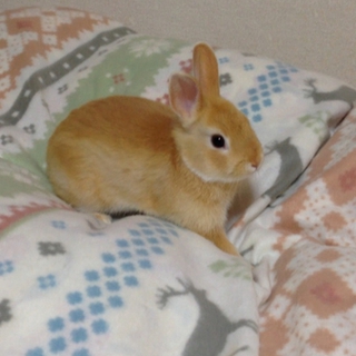ご応募ありがとうございました！
