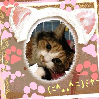 とても美人な♪美美ちゃん♪２歳くらい