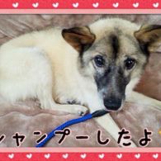 新しい家族と幸せに暮しているそうです！！