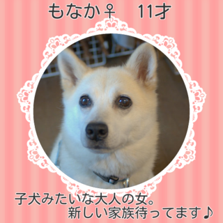 元気な熟女もなかちゃん