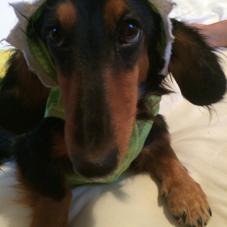 至急お願いします‼︎