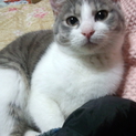 急募です‼