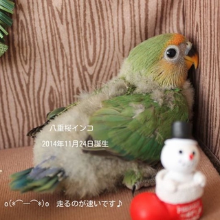沢山のご応募ありがとうございました