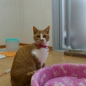 いいご縁に巡りあえました、ありがとうございました。